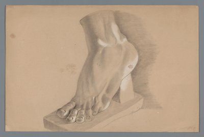 Plaster Model of a Foot by Alexander Cranendoncq