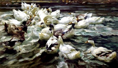 Ducks Gathering by Alexander Koester