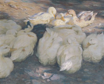In the Evening Sun by Alexander Koester