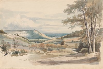 Boxhill from West Humble Lane by Alexander Monro