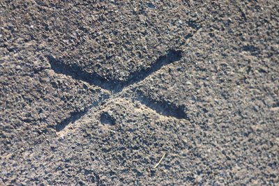 Just an X by Alexandra Joseph