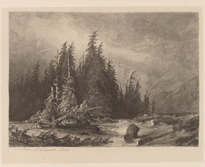 Mountain Pines by Alexandre Calame