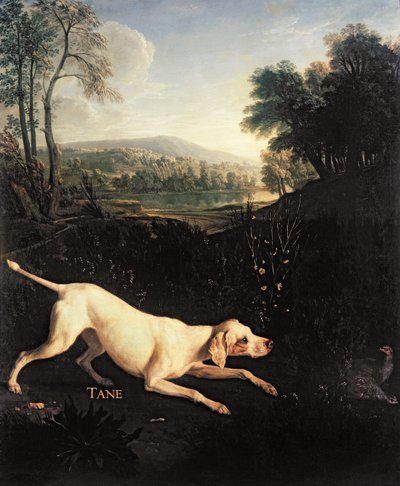 Louis XIV