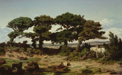 The Oaks of Kertregonnec by Alexandre Sege