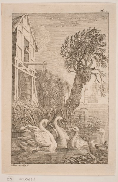 The Goose and the Swan by Alexia von Lode