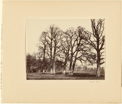 Blake Hall by Alfred Capel Cure