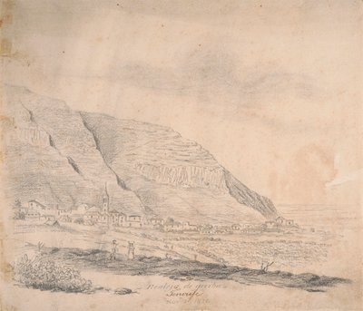 Realejo de arriba, Tenerife by Alfred Diston