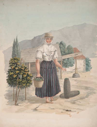 Woman of El Miradero, Tenerife by Alfred Diston