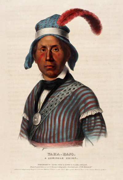 Yaha-hajo, A Seminole Chief by Alfred M. Hoffy