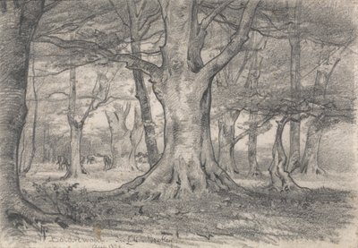 A Forest Landscape near Boldrewood by Alfred Parsons