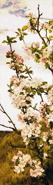 Apple blossom by Alfred Parsons