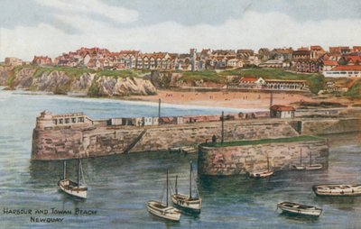 Harbour and Towan Beach, Newquay by Alfred Robert Quinton