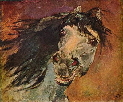 Head of an Andalusian Horse by Alfred Roll