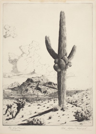 The Sentinel by Alfred Rudolph Waud