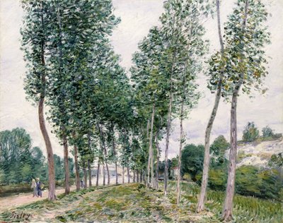 Alley of Poplars along the Loing by Alfred Sisley