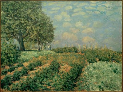 The Fields by Alfred Sisley