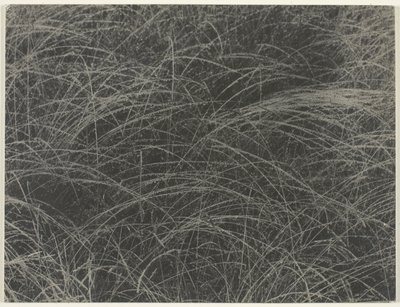 Equivalent by Alfred Stieglitz