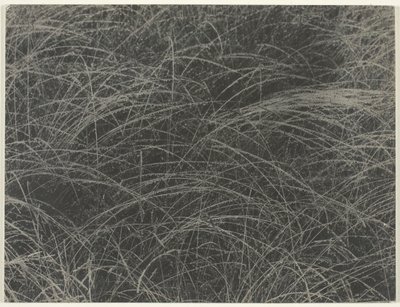 Equivalent by Alfred Stieglitz