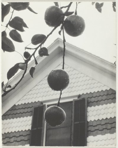 Gable and Apples by Alfred Stieglitz