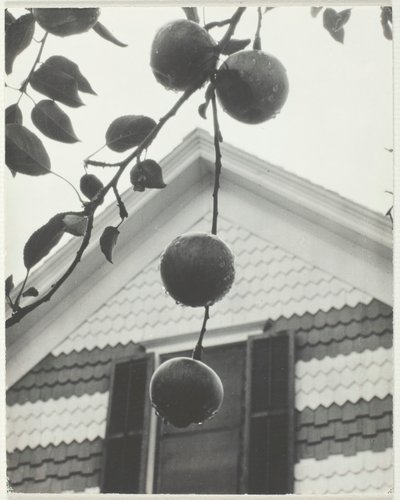 Gable and Apples by Alfred Stieglitz