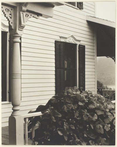 House and Grape Leaves by Alfred Stieglitz