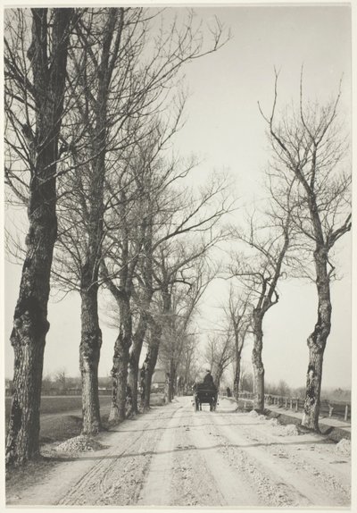 November Days by Alfred Stieglitz