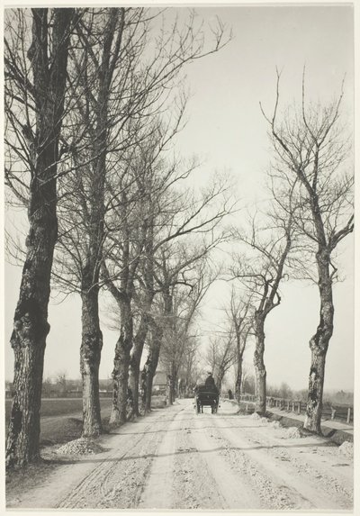November Days by Alfred Stieglitz
