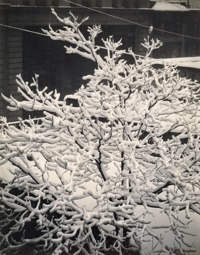 Out of Window - 291 - N.Y. by Alfred Stieglitz