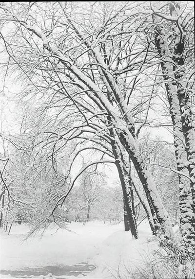 Snowscape, Berlin by Alfred Stieglitz