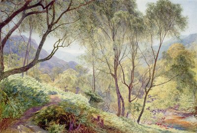 Ullswater from Gowbarrow Park, 1864 by Alfred William Hunt