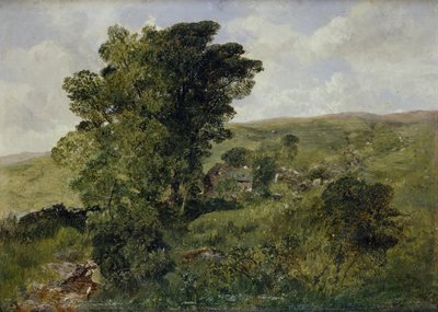 View of Nantlle, Caernarvonshire, 1855 by Alfred William Hunt