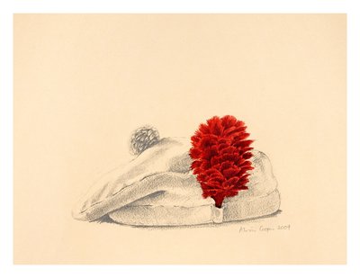 A Black Watch Red hackle, 2004 by Alison Cooper