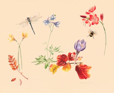 Autumn Flowers and Insects by Alison Cooper