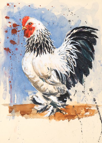 Brahma Bantam Cockerel by Alison Cooper