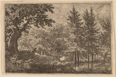 Fir Trees at the Water by Allart van Everdingen