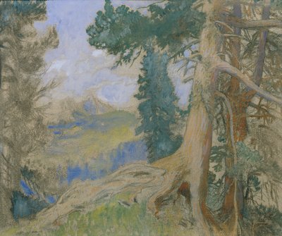 Scheiblahn in the Evening by Alois Penz