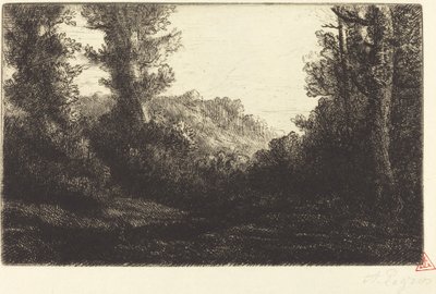 Edge of a Wood by Alphonse Legros