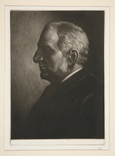 Portrait of Sir Francis Seymour by Alphonse Legros