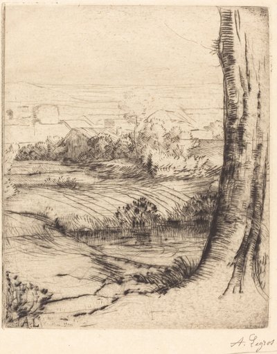 View of Reeds by Alphonse Legros