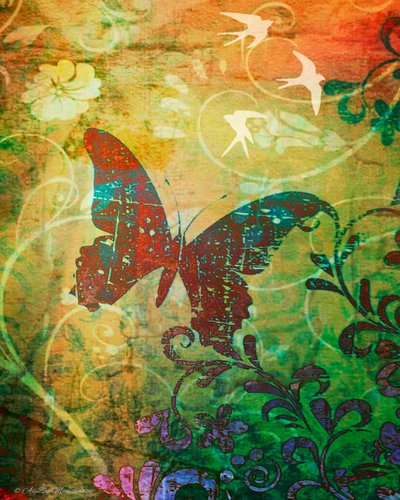 Butterfly Haiku, 2014 by AlyZen Moonshadow