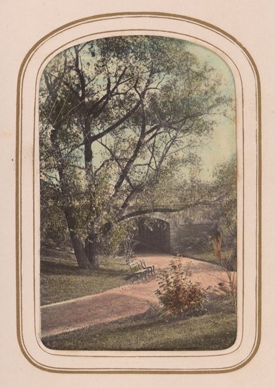 Carte-de-visite Album of Central Park Views by Ambrose Jackson