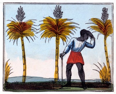 Cutting Sugar Cane, 1826 by Amelia Alderson Opie