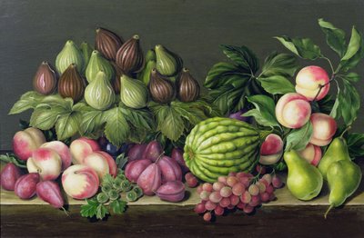 Figs, Melon and Gooseberries by Amelia Kleiser