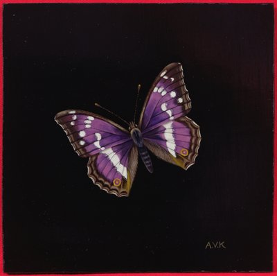 Purple Emperor Butterfly by Amelia Kleiser