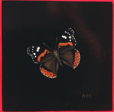 Red Admiral Butterfly by Amelia Kleiser