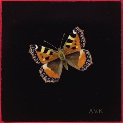 Small Tortoiseshell Butterfly by Amelia Kleiser