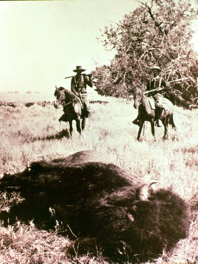 American Bison Hunters by American Photographer