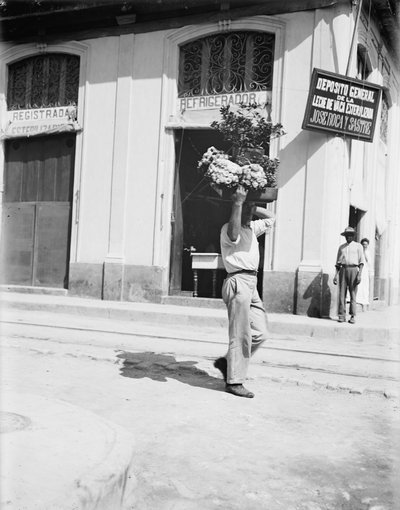 Flower vendor, Havana, c.1910 by American Photographer