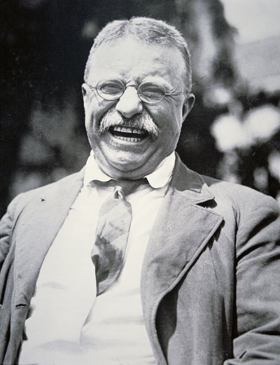 President Theodore Roosevelt, c.1917 by American Photographer