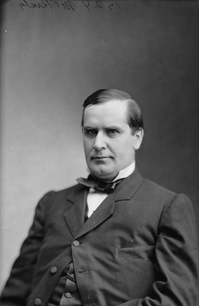 President William McKinley, 1870-80 by American Photographer